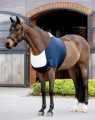 LEMIEUX SENSITIVE ANTIRUB BIB